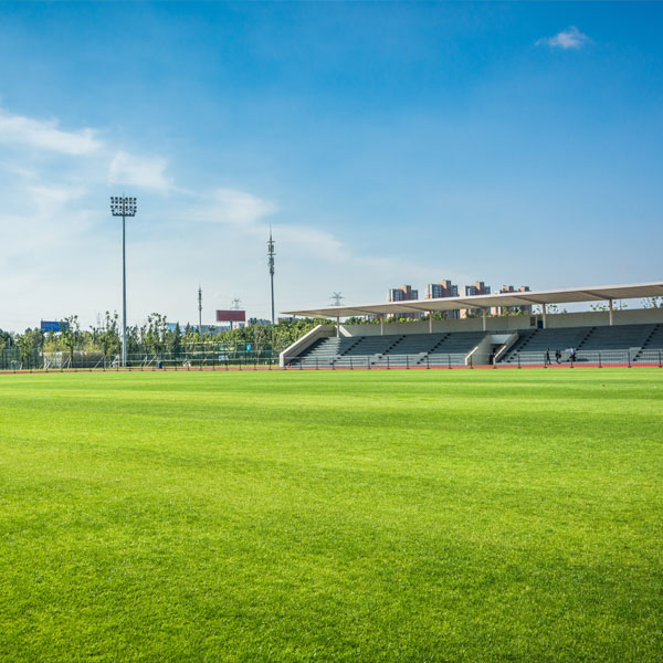 Venues & Leisure Facilities